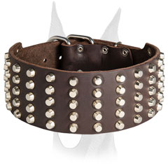 Luxury Doberman collar with 5 rows of decorations