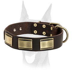Securely riveted leather Doberman collar with brass hardware