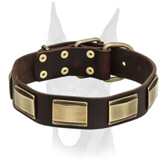 War like massive brass plates for leather Doberman collar