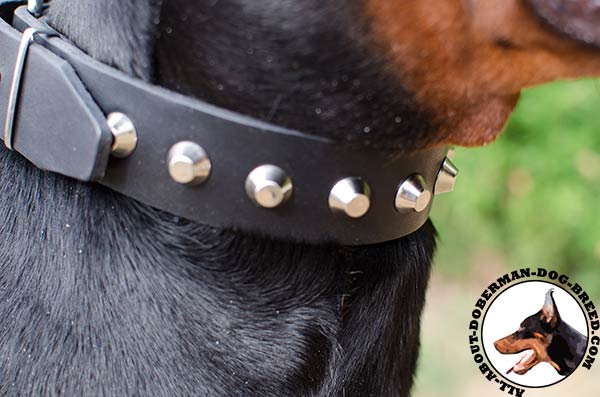Strong and durable leather collar for Doberman 