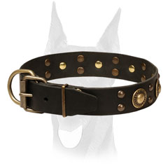 Decorated with studs leather Doberman collar