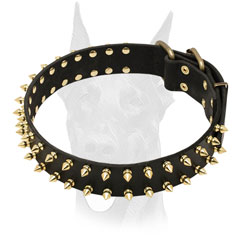 Luxury leather Doberman collar with 2 symmetrical rows of spikes