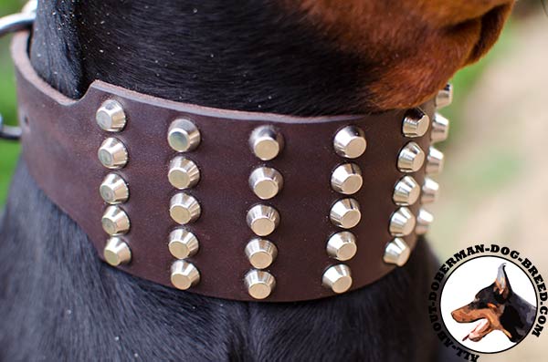 Strong and comfortable Doberman leather collar