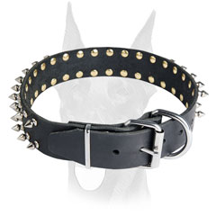 Shiny nickel plated spikes and hardware for leather Doberman collar