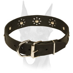 fancy dog collars