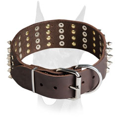 Nickel hardware and rivets for Doberman collar