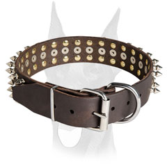 Rust resistant nickel hardware for Doberman collar