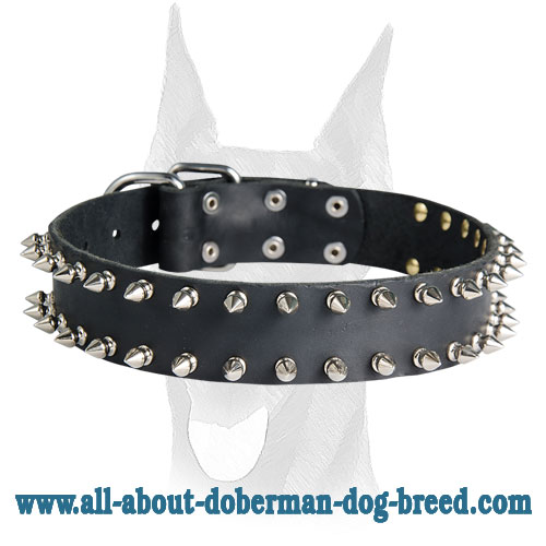 Big best sale spike collar