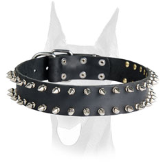 Wide leather Doberman collar with 2 symmetrical rows of spikes