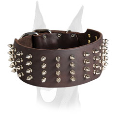 4 rows of spikes for Doberman collar