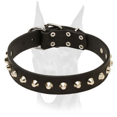 Doberman collar with cones