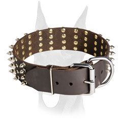 Rust proof hardware for Doberman collar