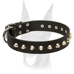 Walking leather Doberman collar