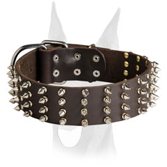 Spiked Doberman collar