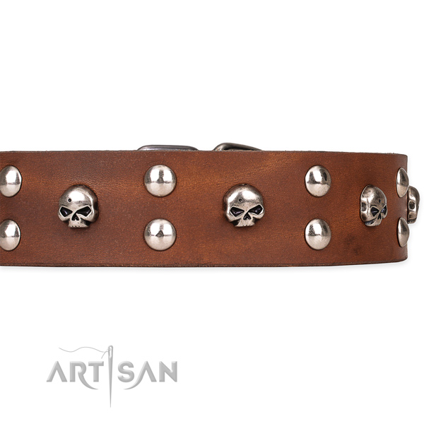 Durable leather dog collar with non-corrosive hardware