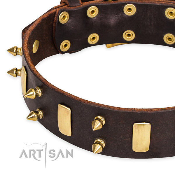Leather dog collar with smooth edges for comfy strolling