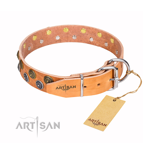 Practical leather collar for your stunning canine