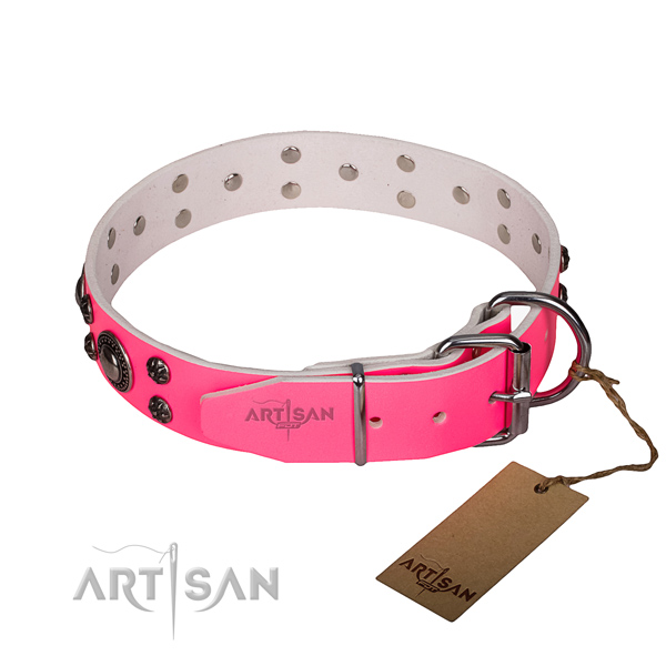 Practical leather collar for your stunning pet