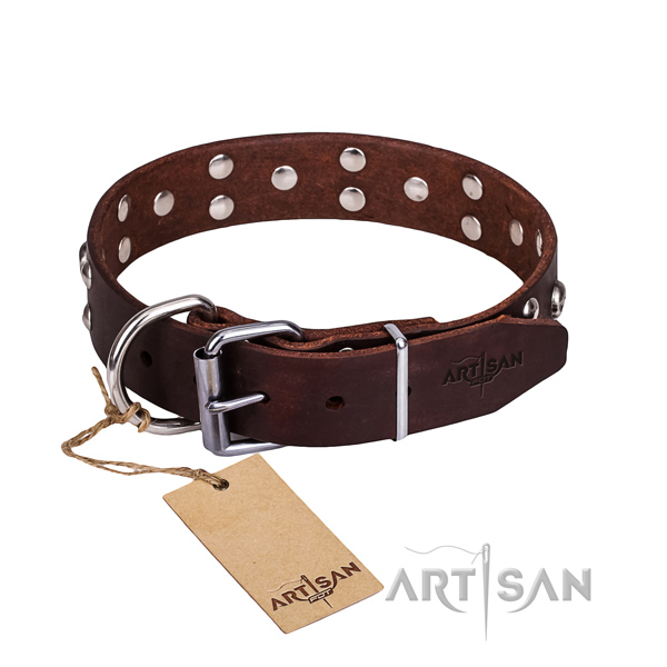 Everyday leather dog collar for stylish walking