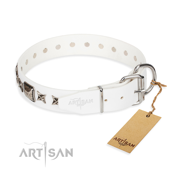 Reliable leather dog collar with reliable details