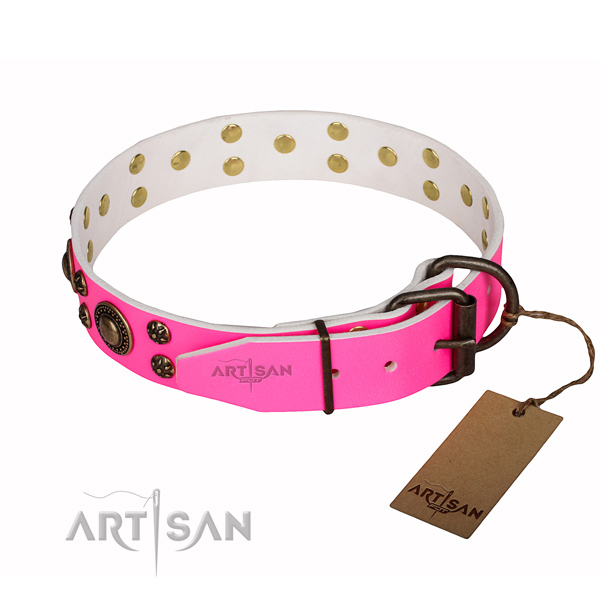 Fashionable leather collar for your elegant dog
