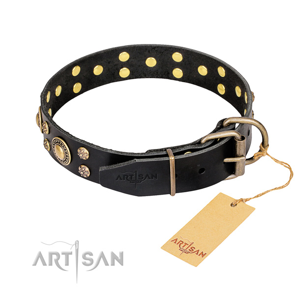 Awesome leather collar for your handsome pet