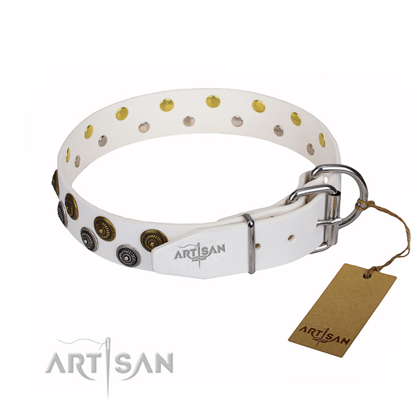 Everyday leather collar for your beloved dog