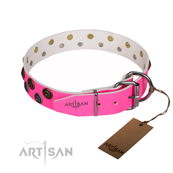 Fashionable leather collar for your favourite pet