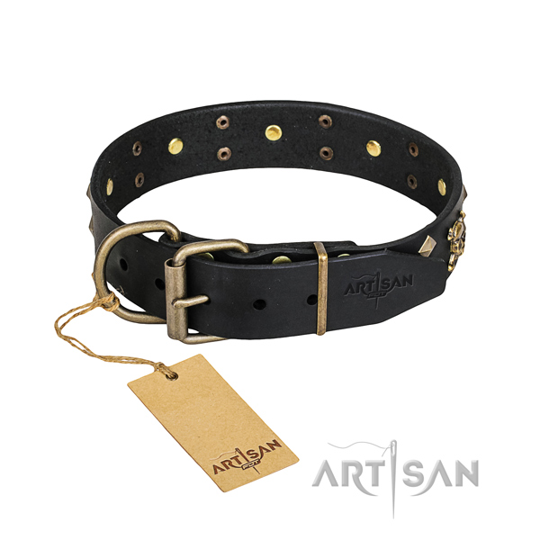Strong leather dog collar with brass plated details for Doberman