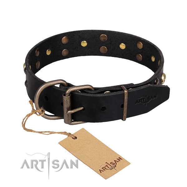 Tough leather dog collar with rust-resistant details