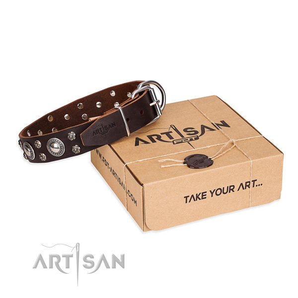 Everyday leather dog collar with elegant studs