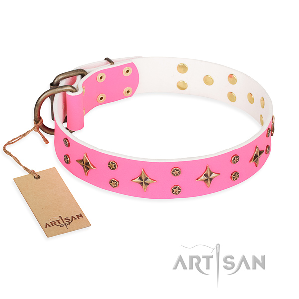 Hardwearing leather dog collar with rust-resistant hardware