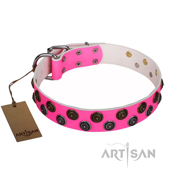 Durable leather dog collar with chrome plated elements