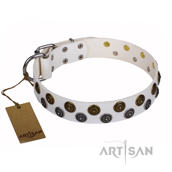 Durable leather dog collar with durable details