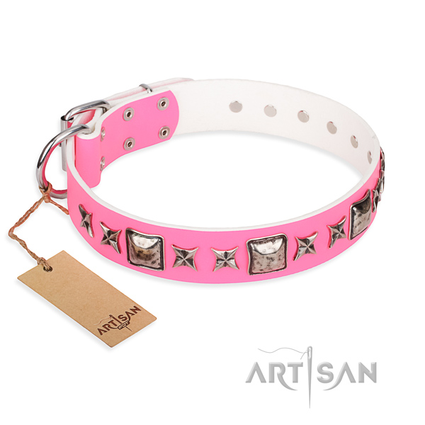 Long-wearing leather dog collar with non-rusting details