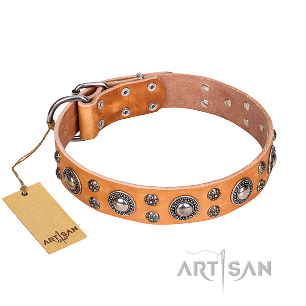 Sturdy leather dog collar with rust-proof fittings