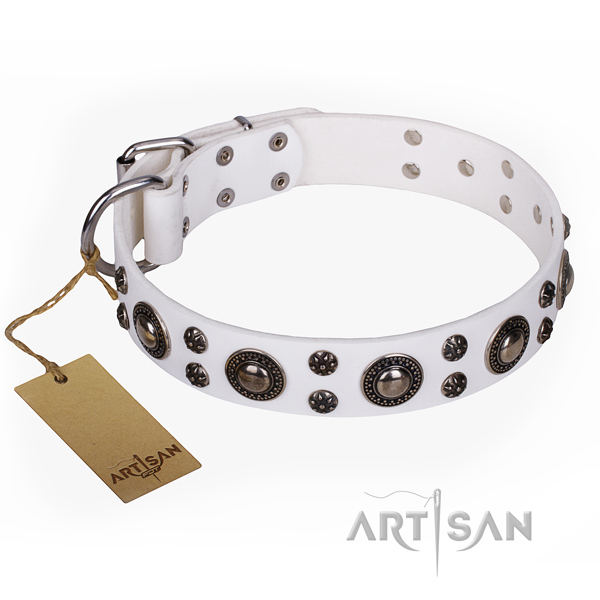 Durable leather dog collar with rust-proof fittings