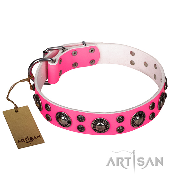 Dependable leather dog collar with non-corrosive fittings