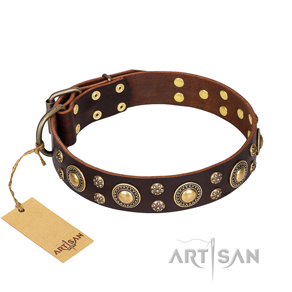 Long-wearing leather dog collar with details