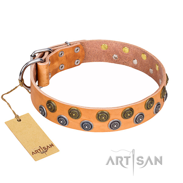 Resistant leather dog collar with durable fittings