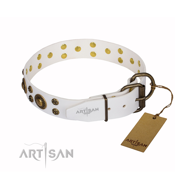 Hardwearing leather dog collar with reliable fittings