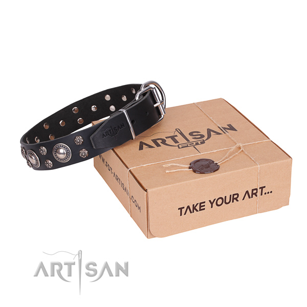Casual leather dog collar with elegant adornments