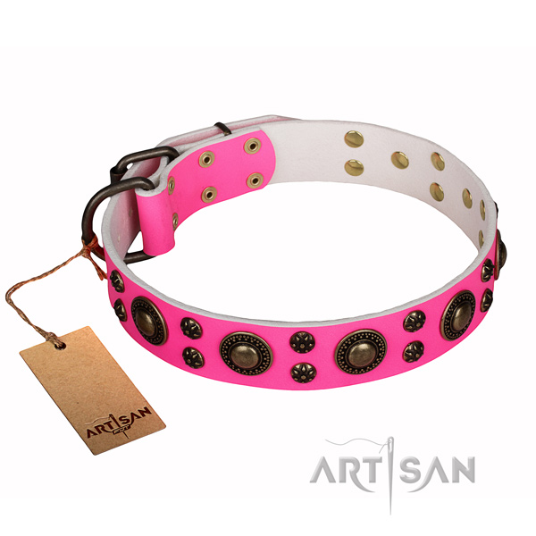Hardwearing leather dog collar with strong elements