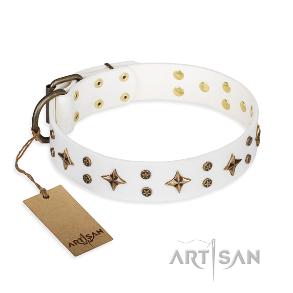 Reliable leather dog collar with rust-proof fittings