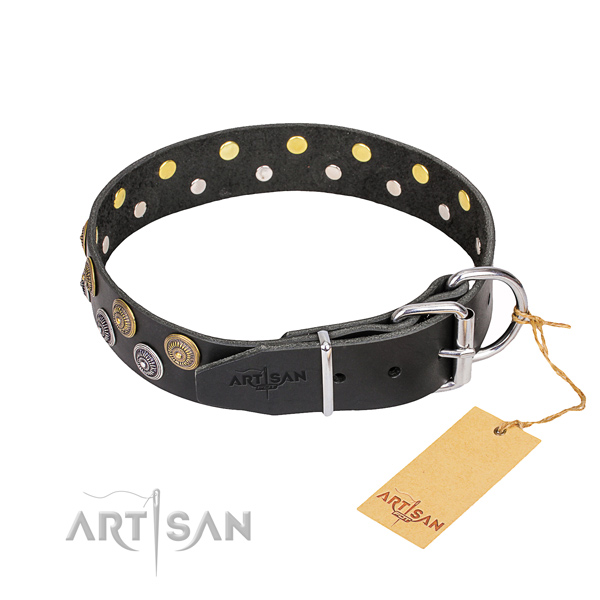 Strong leather dog collar with rust-proof details