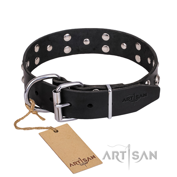 Casual leather dog collar with unique design adornments