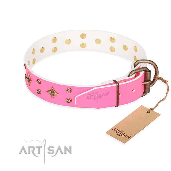 Stylish leather collar for your handsome four-legged friend