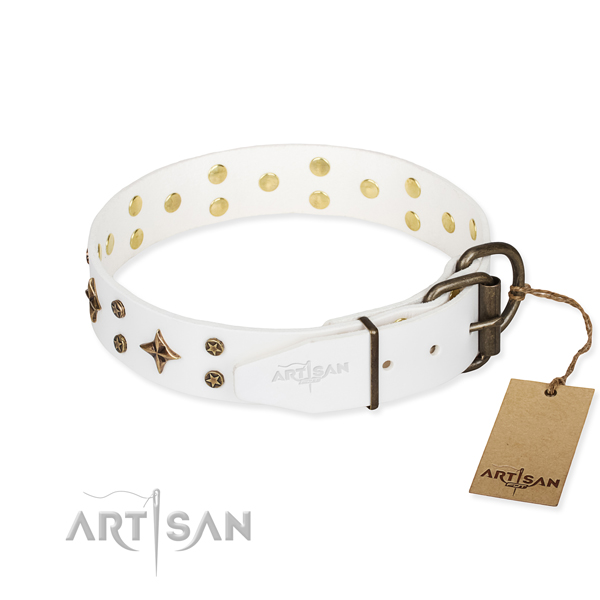 Practical leather collar for your elegant canine