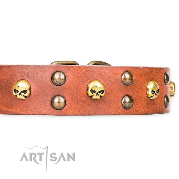 Everyday leather dog collar for stylish walks