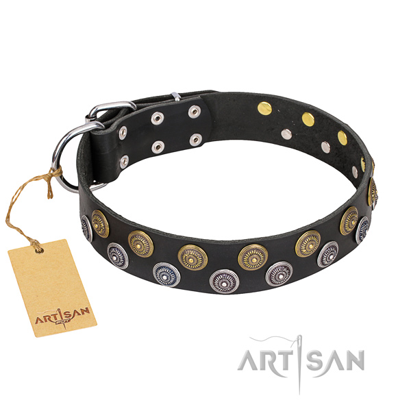 Daily leather collar for your elegant canine